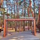 대표코스/역사관광코스/테마관광코스 | 1박2일 울진 여행 코스 울진관광택시로 다닌 Best8