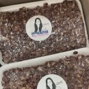 김원장면역테라피 이미지