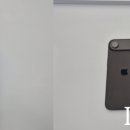 디자인본색