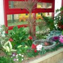 인동유치원 이미지