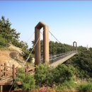 환상의 섬 이미지