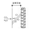 아파트 평수 뽑는데 올인한 대한민국 ( 동간거리. 아파트 벽 두께 ) 이미지