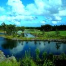 스프링데일CC 이미지