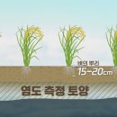 명품태양광발전소 이미지