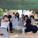 메르블루 이미지