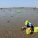 농촌관광거점강선달마을 이미지