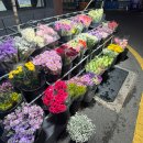 보성카정비 | 일상