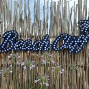 비치클리프(BeachCliff)