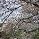 부인사 - 1134 | 부인사