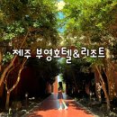[제주 부영호텔&amp;리조트] 수영장이 이쁜 서귀포시 5성급 호텔 (ft. 야외수영장, 피트니스)