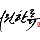 한류 태권도장 이미지