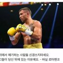 민트젤리 이미지