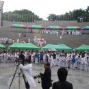 연세대태권도 이미지