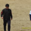 광의-3 Daum카페