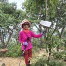 대전둘레산길(11구간) 이미지