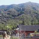 소향축산 이미지