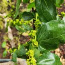 태동농장 이미지