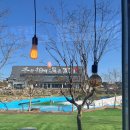 리얼펍파주봉일천점 | 파주 뮌스터담 눈썰매장 무료로 썰매 탈수 있는 카페 이용 후기