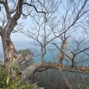 향일암전망대 이미지