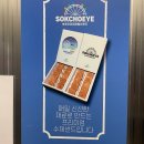 웨일라잇 | 속초해수욕장 카페 웨일라잇 오션뷰 대형카페 후기