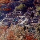 순천-65호 이미지