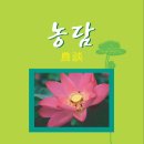 선농