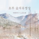 보성 가볼만 한 곳 / 초루 숲 치유 명상 프로그램 후기