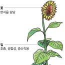 꽃사람 이미지