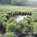 용늪마을영농조합법인 이미지