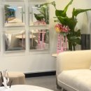 바디디자인 이미지