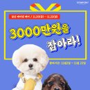 메디케이 이미지