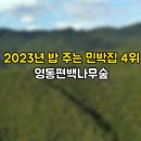 숲펜션민박 이미지