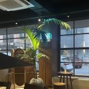 룰루랄라 애견미용실 이미지