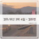 신평동335 | [경주/부산]3박4일 경주/부산 여행기록(경주-2편)
