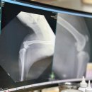 이룸외과동물병원 이미지