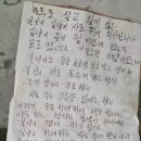 하루도 살고 싶지 않은 본인이 길냥이 사료 줘서 미안합니다.twt 이미지