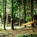 느랭이골자연리조트 이미지