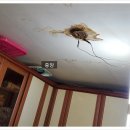 효성뉴서울2차아파트 이미지