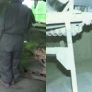 크린환경사료 이미지