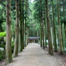 대한다원 이미지