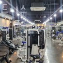 나무 휘트니스 이미지