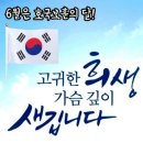 제 68 회 현충일 숨겨진 의미 이미지