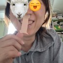 (주)영바이오 | 입벌림방지밴드 사용후기