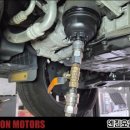 라이온모터스 이미지