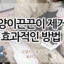 묘리깡 이미지
