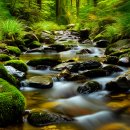 향수100리길 | 숨 막히는 절경, 옥천 월류봉 둘레길 완벽 가이드: 숨겨진 비경을 찾아서