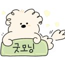 아라쭈꾸미진해 이미지