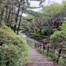 충남 서천 희리산과 장항 송림(맥문동) 이미지