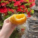 카페좌구산 다나우토바 | 증평 대형 한옥 이와카페, 증평투어패스로 다녀온 빵 맛집