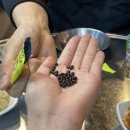 마곡광안리 이미지